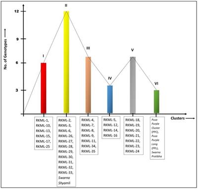 Optimizing hybrid vigor: a comprehensive analysis of genetic distance and heterosis in eggplant landraces